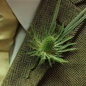 fwthumbRustic white thistle.jpg